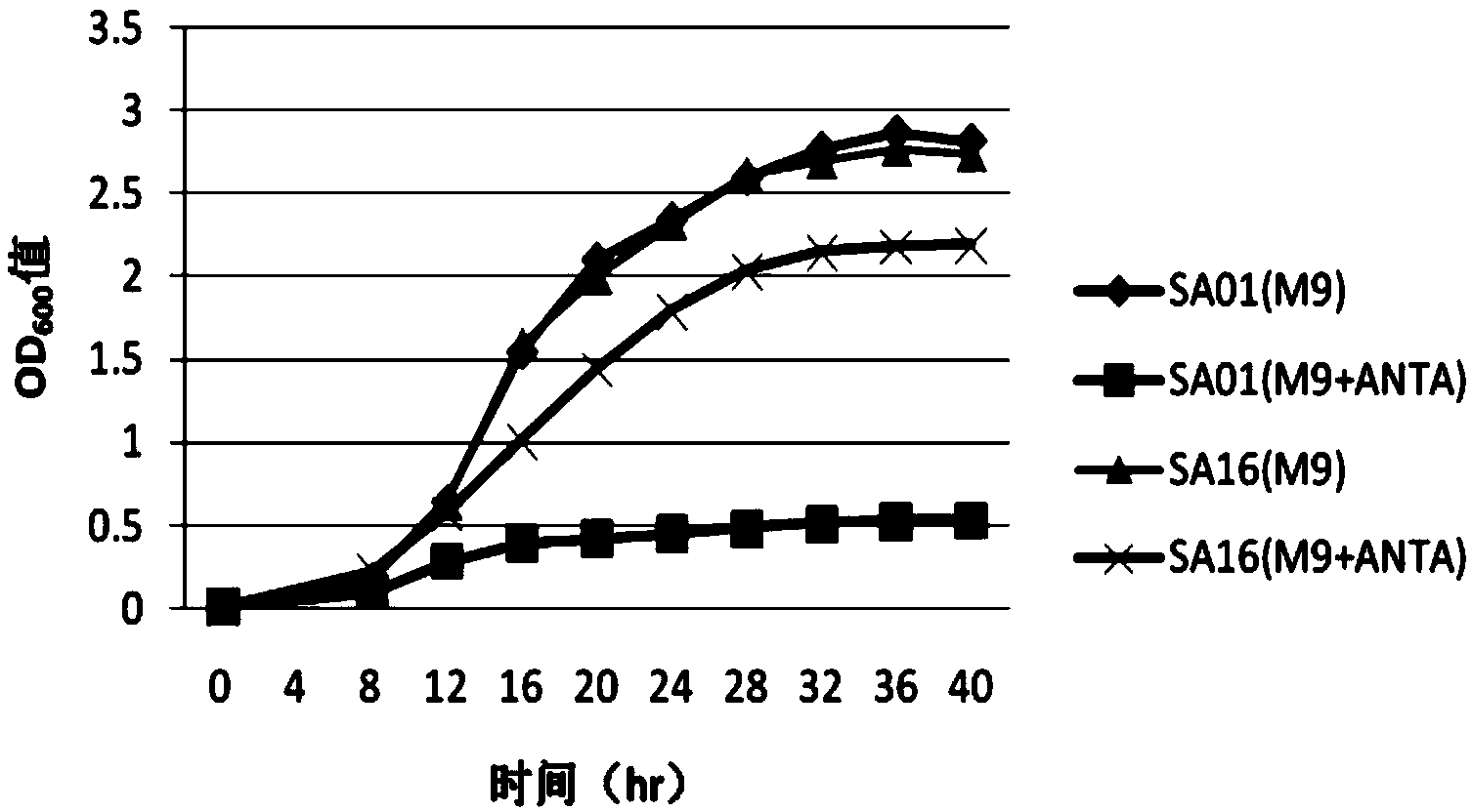 L-tryptophan fermentation strain and method for fermentation production of L-tryptophan by using L-tryptophan fermentation strain