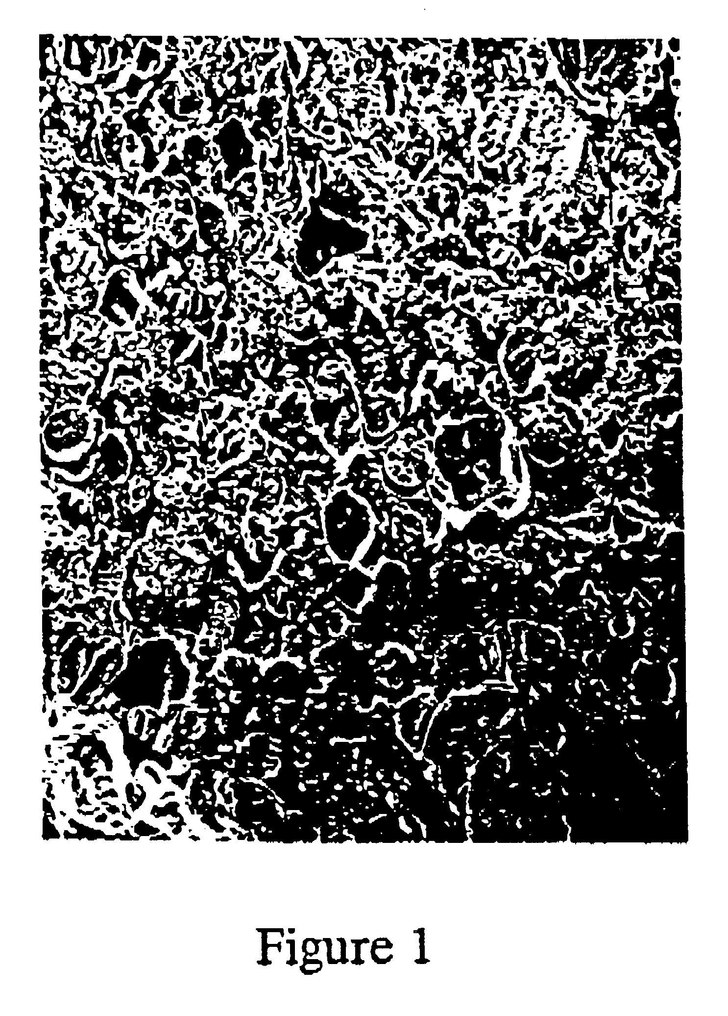 Thermoplastic polymer propellant compositions