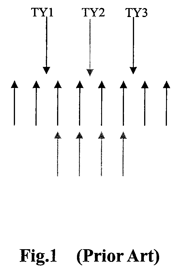 Multiple ultrasound beams transmitting and receiving method and apparatus