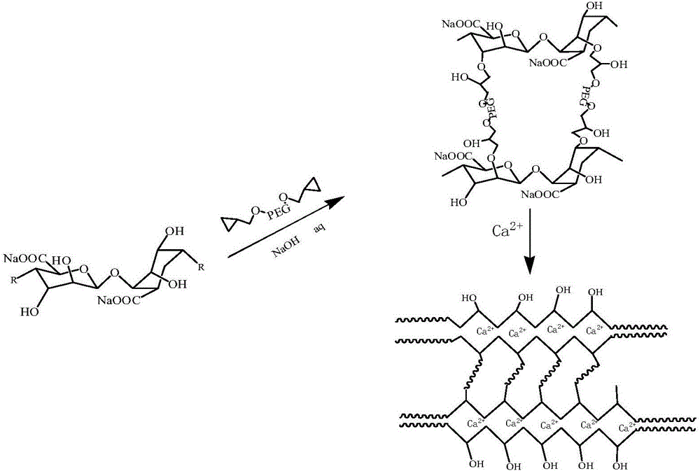 Chemically cross-linked modified alginate fiber and preparation method thereof