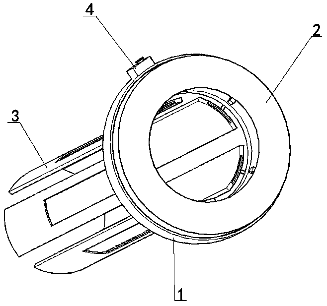 Anorectal examination and drug administration device capable of achieving precise drug administration