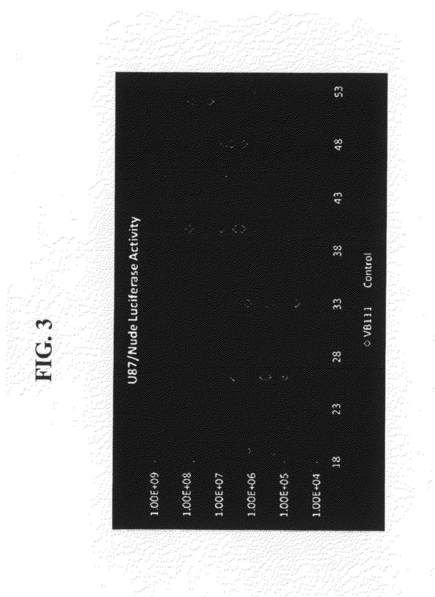 Compositions and Methods for Treating Glioblastoma GBM