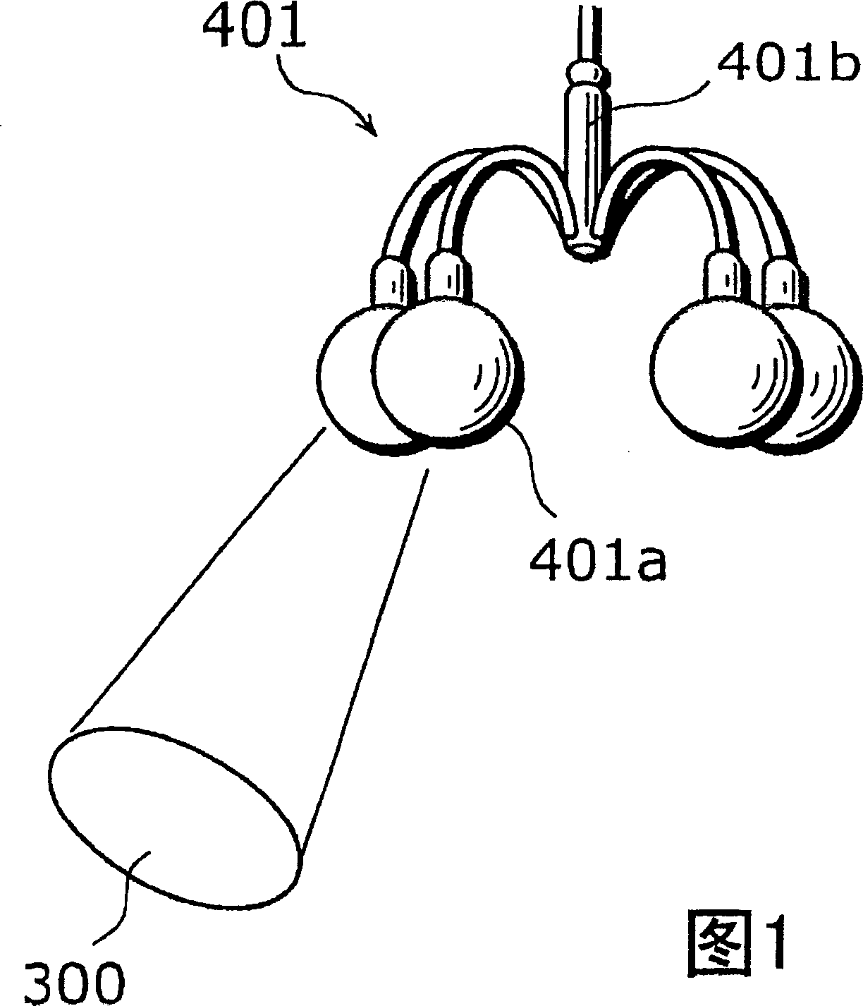 Guiding device and guiding method