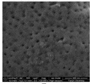 Solvent-free preparation method of aperture controllable porous film