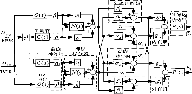 Image stabilizing method of binocular vision system based on human eyeball vestibular-ocular reflex in bumpy environment