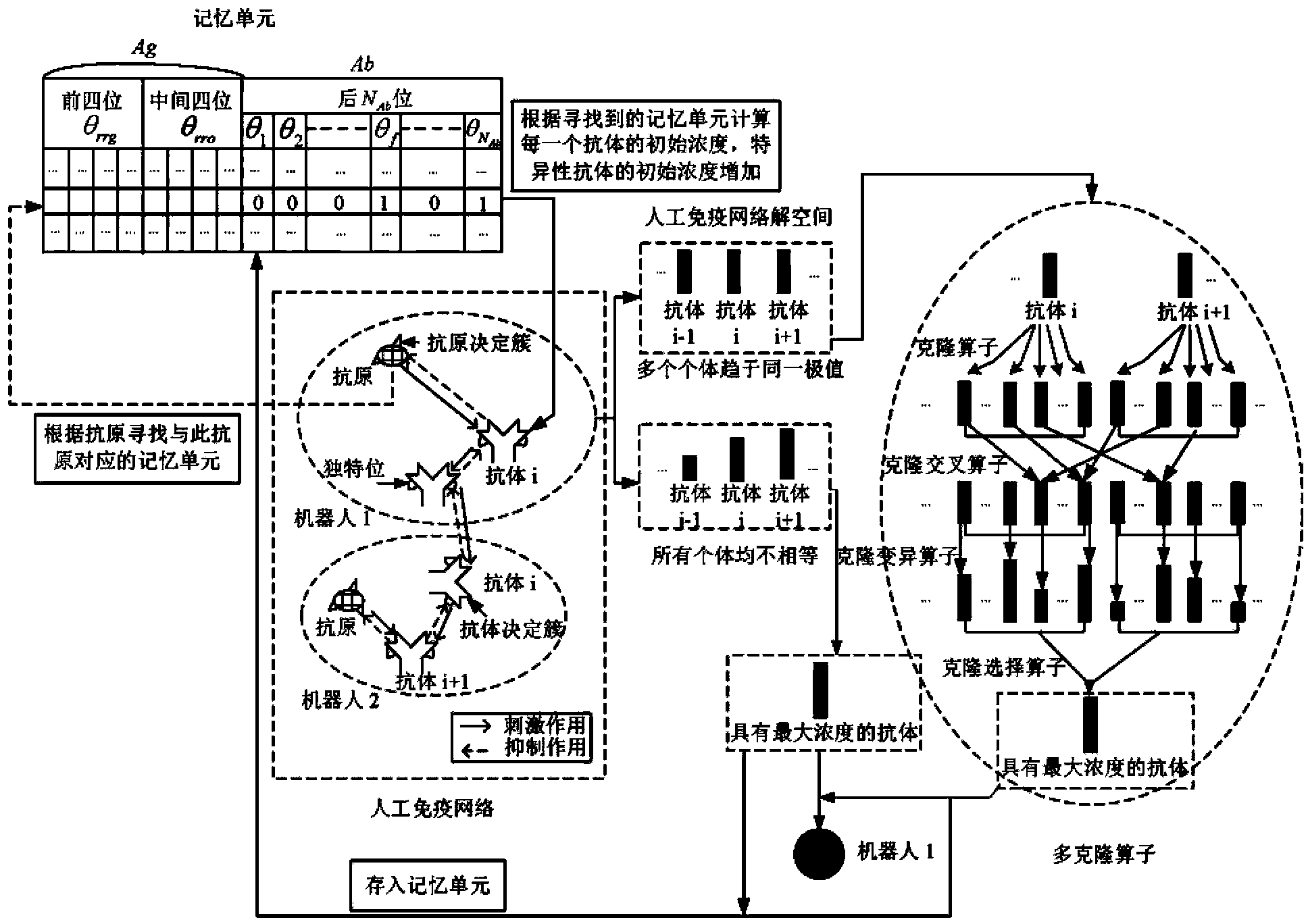 Polyclone artificial immunity network algorithm for multirobot dynamic path planning