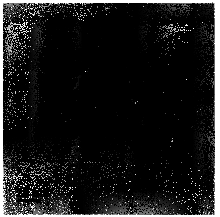 Preparation of zirconium dioxide and ferriferrous oxide nanoparticles and method used for enrichment of phosphopeptides by using zirconium dioxide and ferriferrous oxide nanoparticles