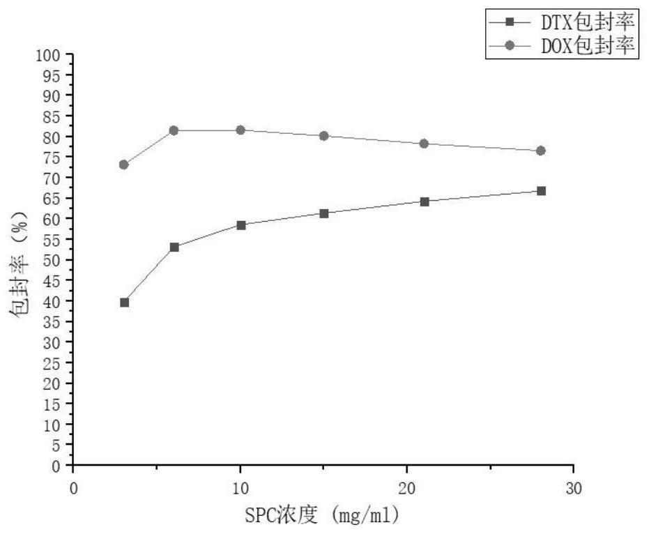 Preparation method of docetaxel and adriamycin co-loaded long-circulating liposome