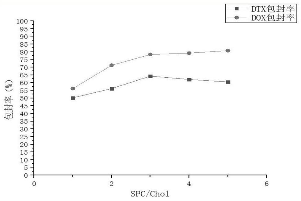 Preparation method of docetaxel and adriamycin co-loaded long-circulating liposome