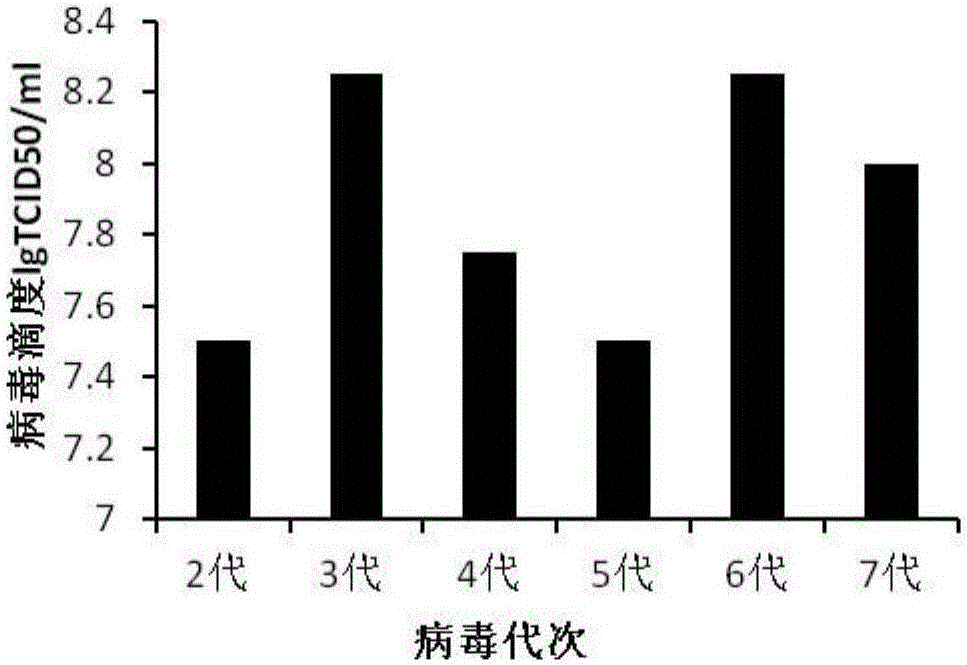 CA-193 virus strain and application thereof to preparation of inactivated vaccine