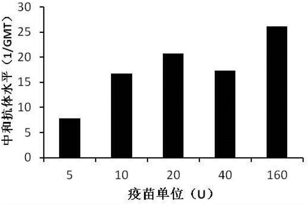 CA-193 virus strain and application thereof to preparation of inactivated vaccine