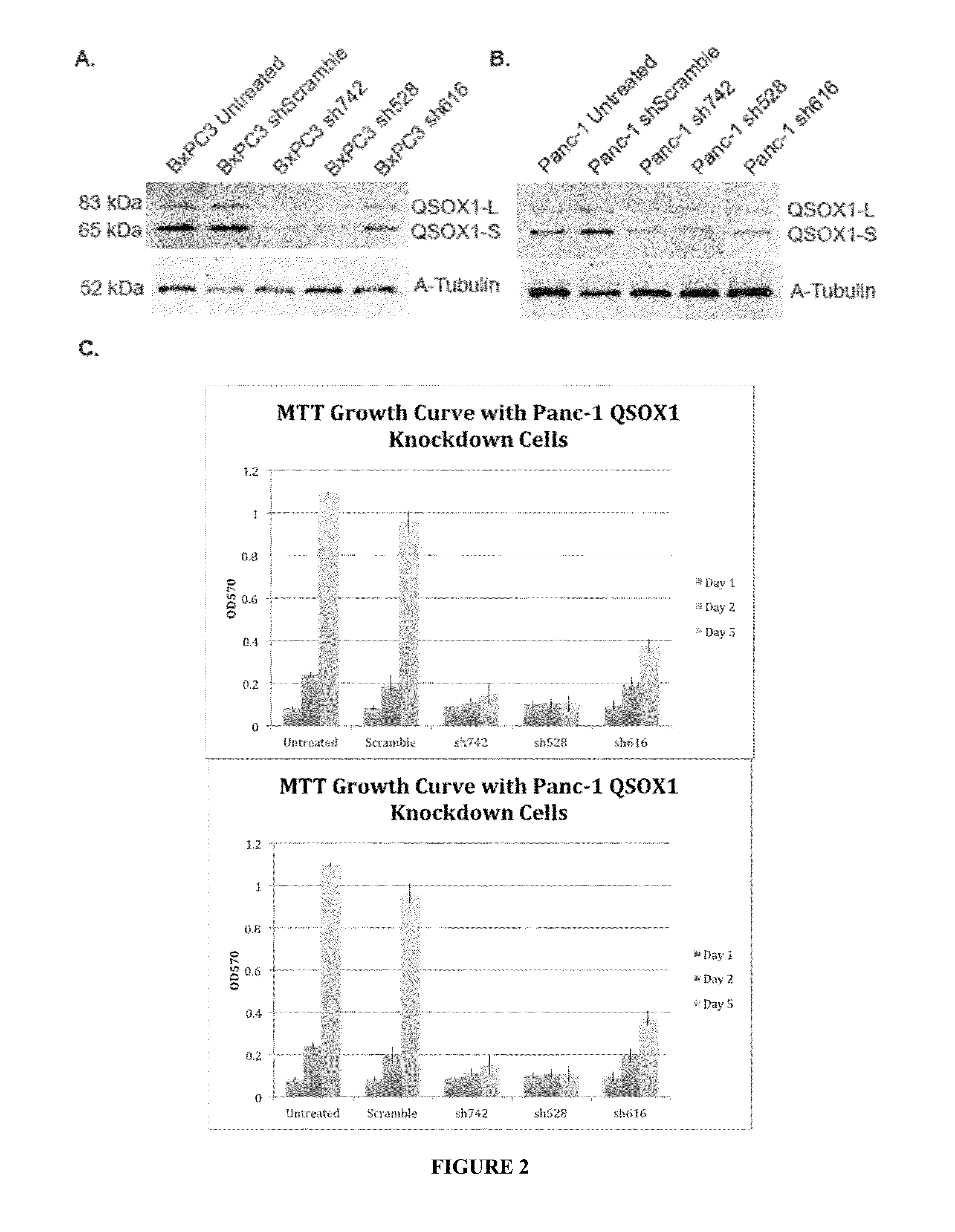 QSOX1 as an Anti-Neoplastic Drug Target