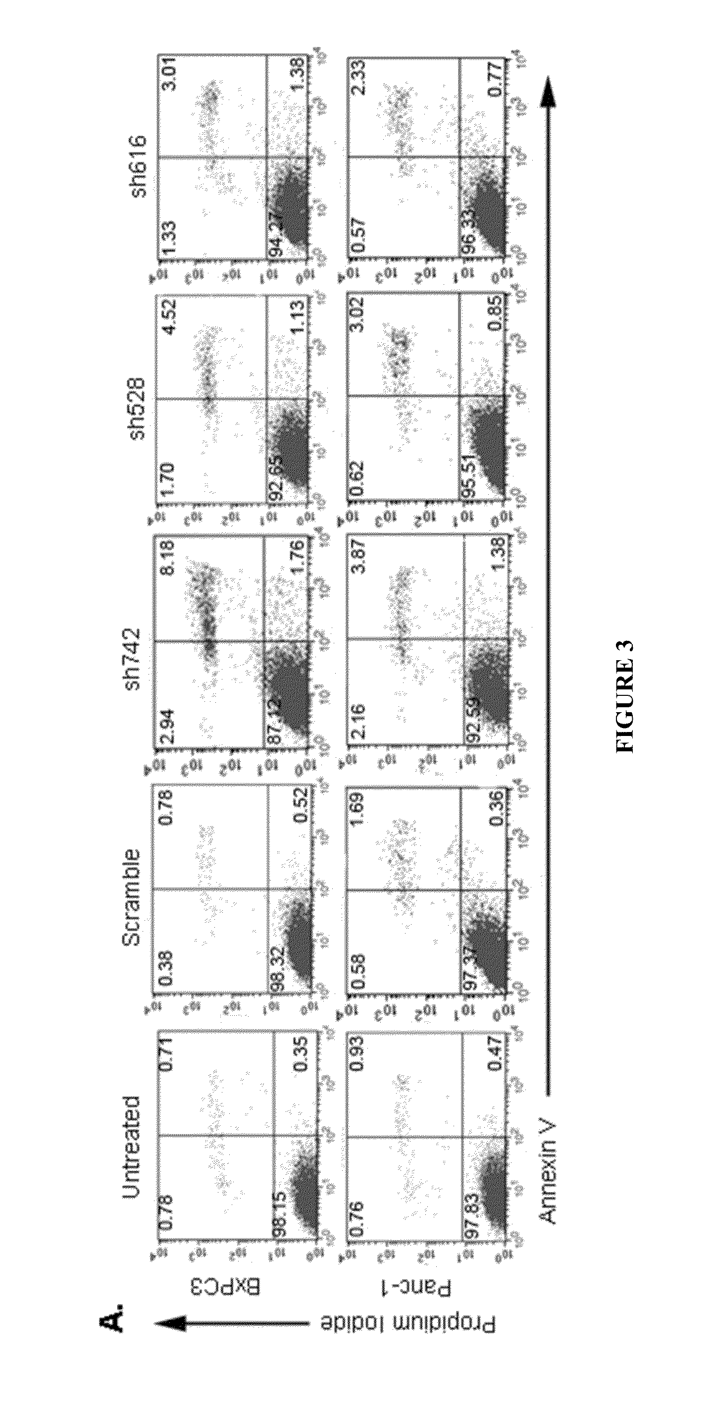 QSOX1 as an Anti-Neoplastic Drug Target