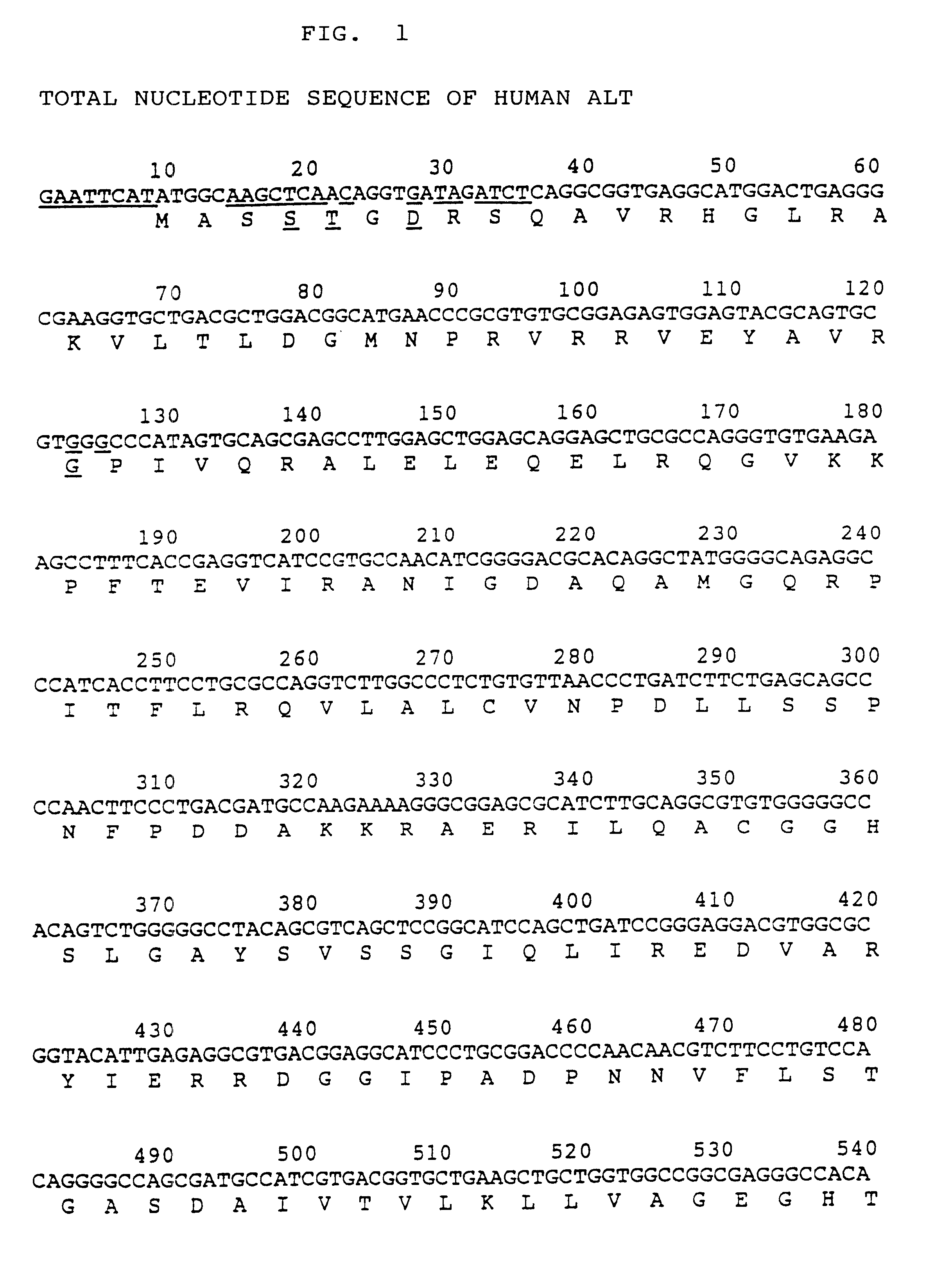 Process for producing activated human ALT