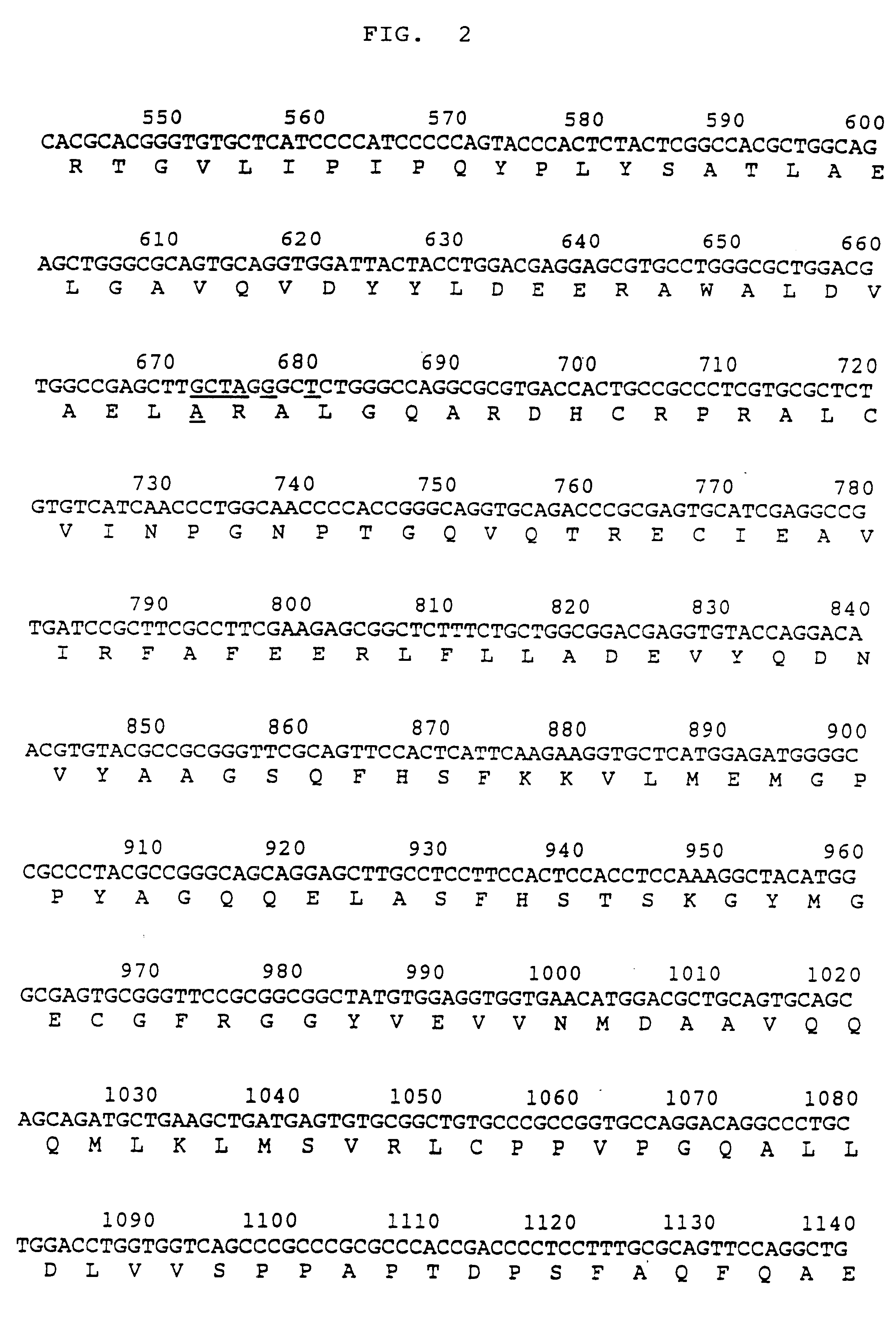 Process for producing activated human ALT