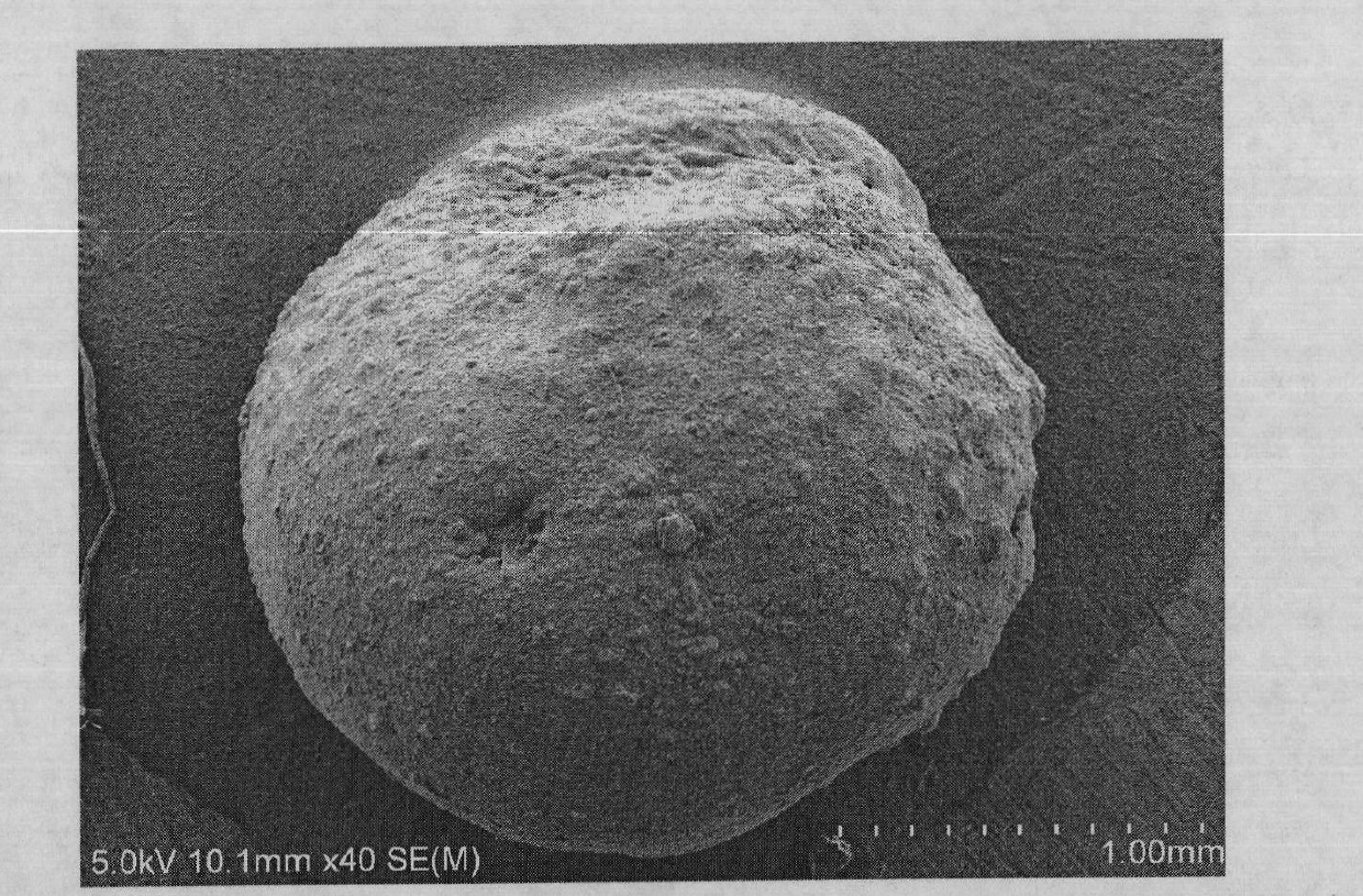 Immobilized microspheres for remediation of petroleum contaminated soil, preparation method thereof and application thereof