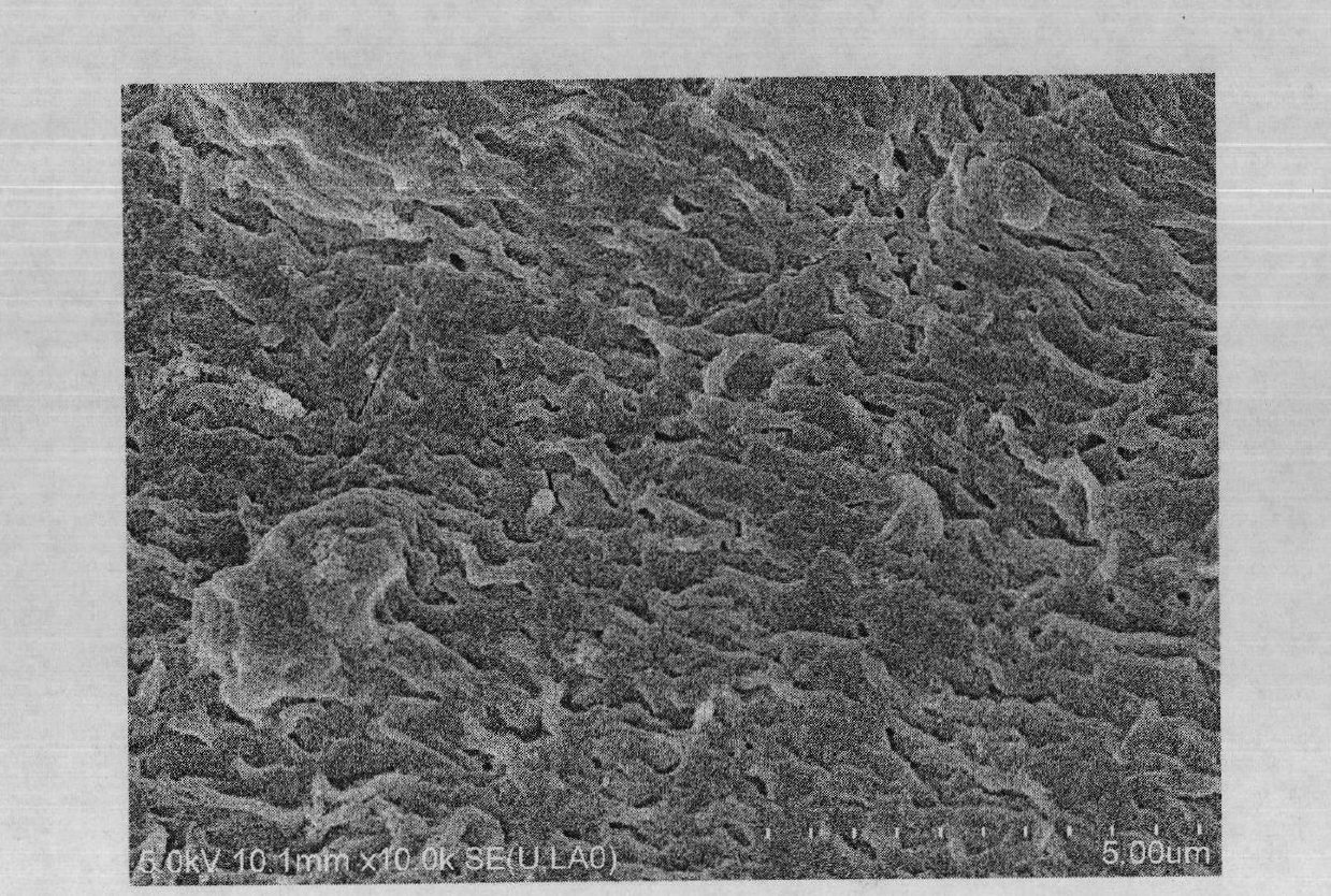 Immobilized microspheres for remediation of petroleum contaminated soil, preparation method thereof and application thereof