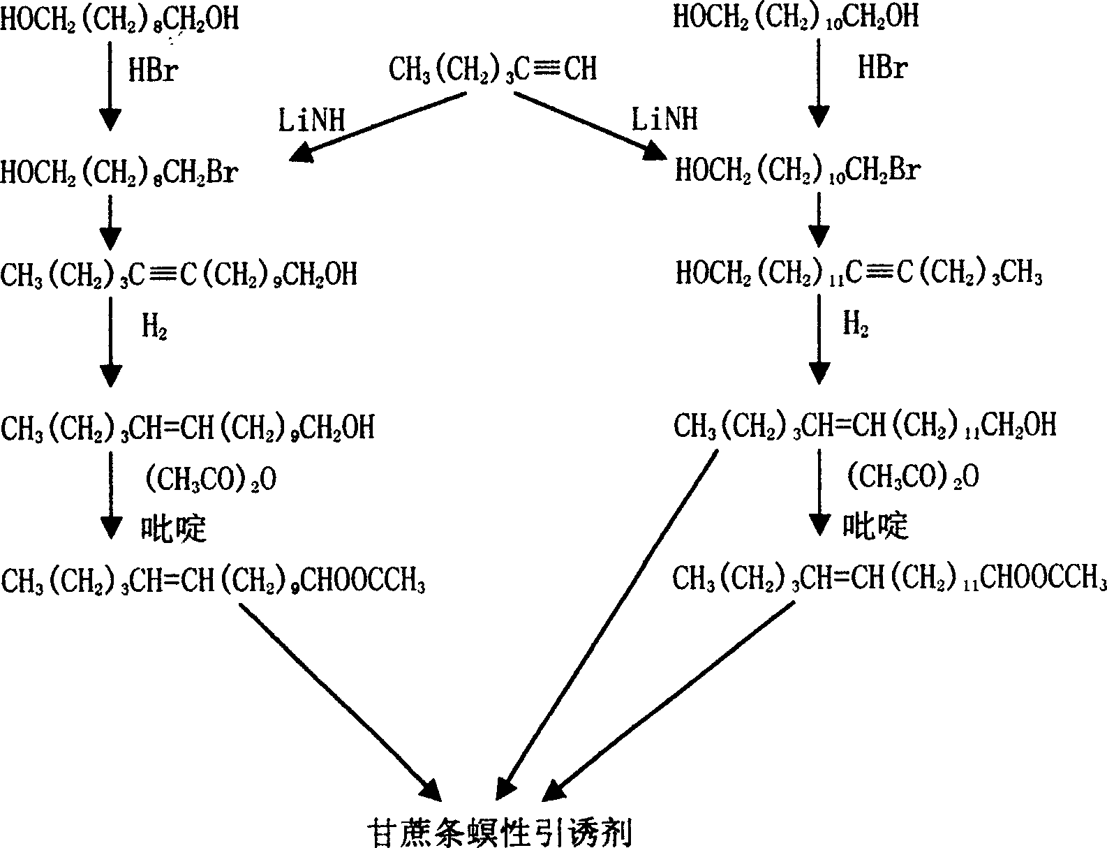 Sex-attractant for cane stripe pyralid, and application thereof