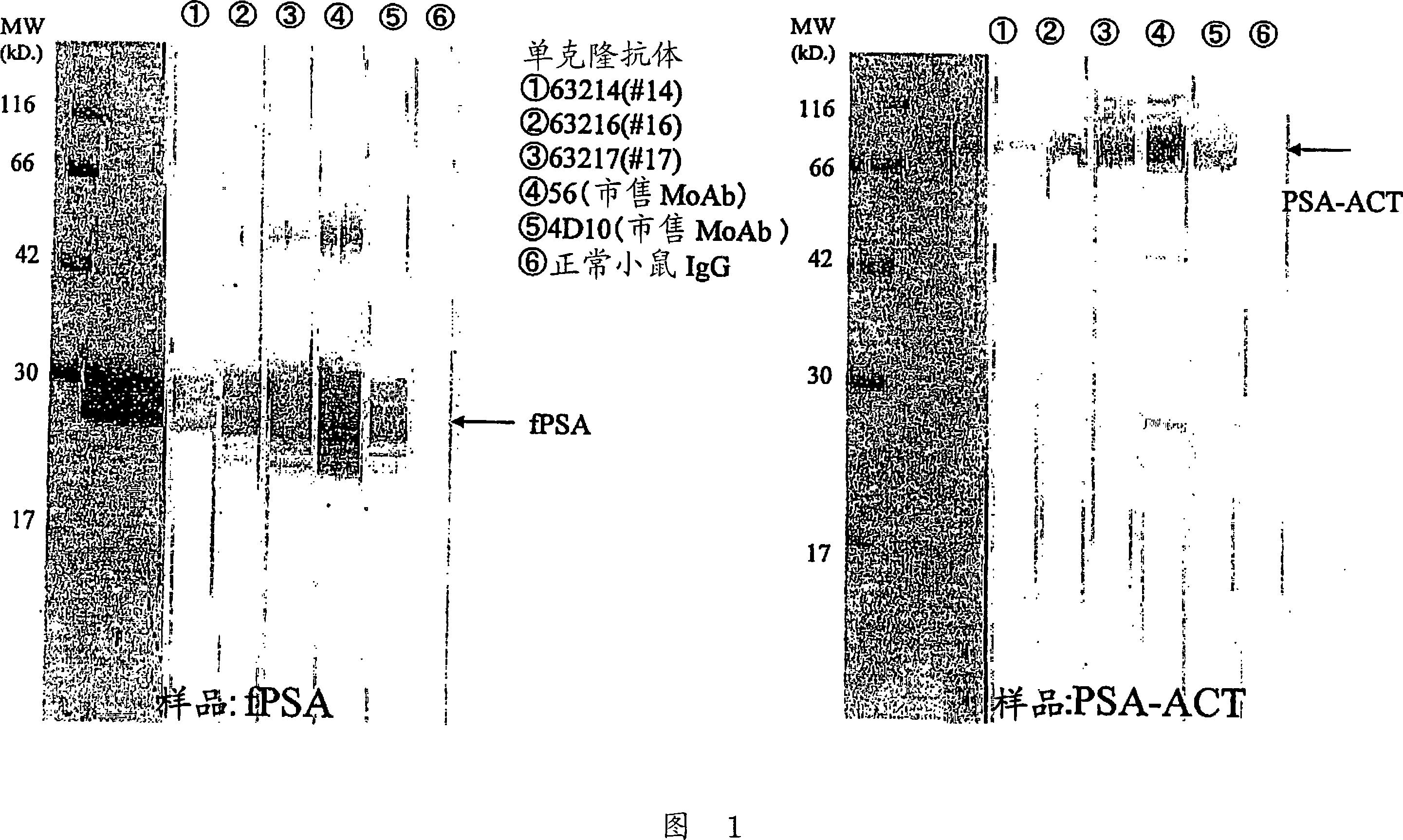 Reagent for assaying antigen and method of assaying antigen