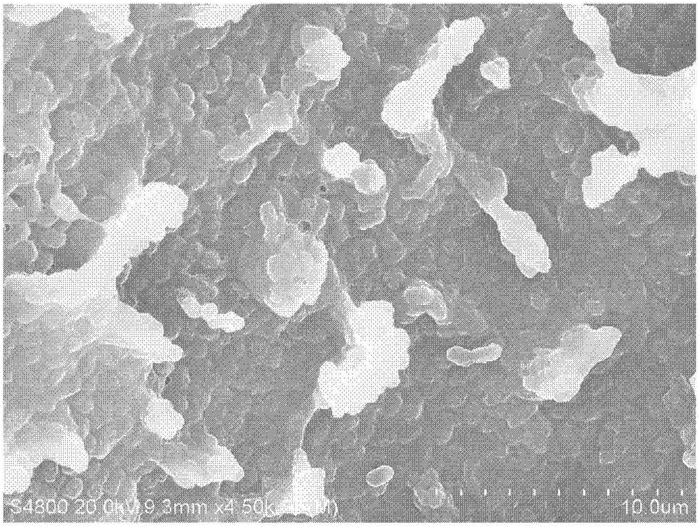 Application of garbage enzyme in aspect of controlling lake algal bloom hazard