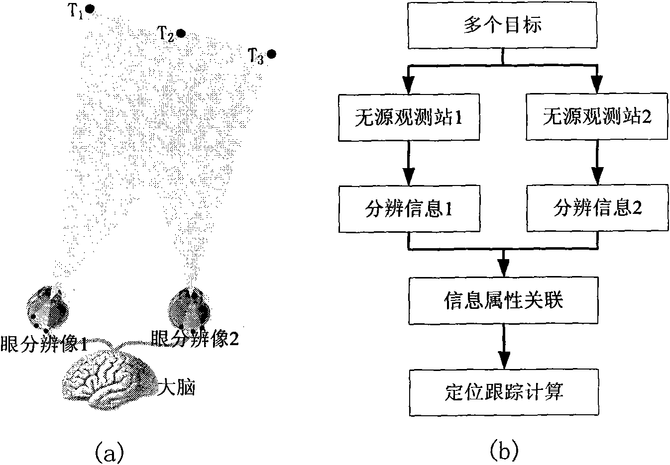 Intelligent simulating method for passively locating and tracking multiple targets in two stations