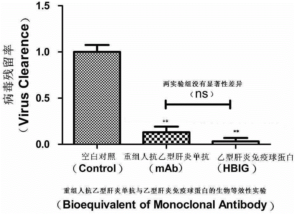 A method for detecting and evaluating antiviral infection activity