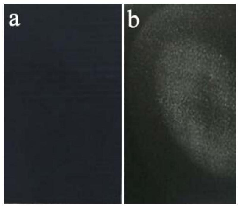 A kind of low-temperature low-alkali metal lead-free glaze and its preparation process