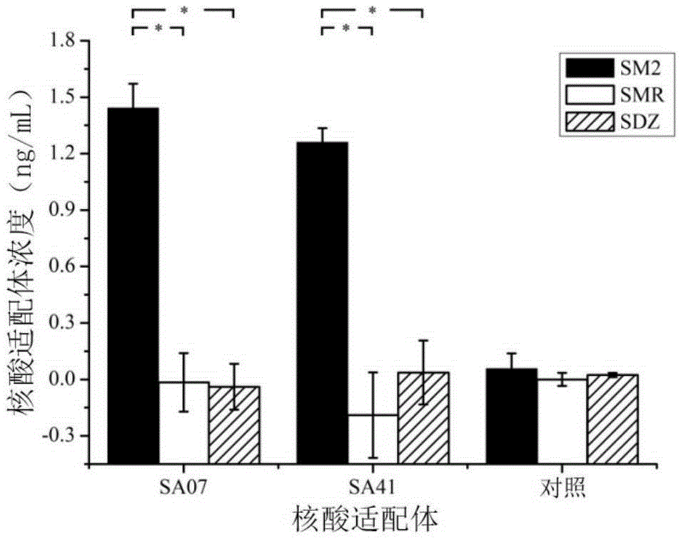 Set of sulfamethazine specifically-bound aptamers and screening method and applications thereof