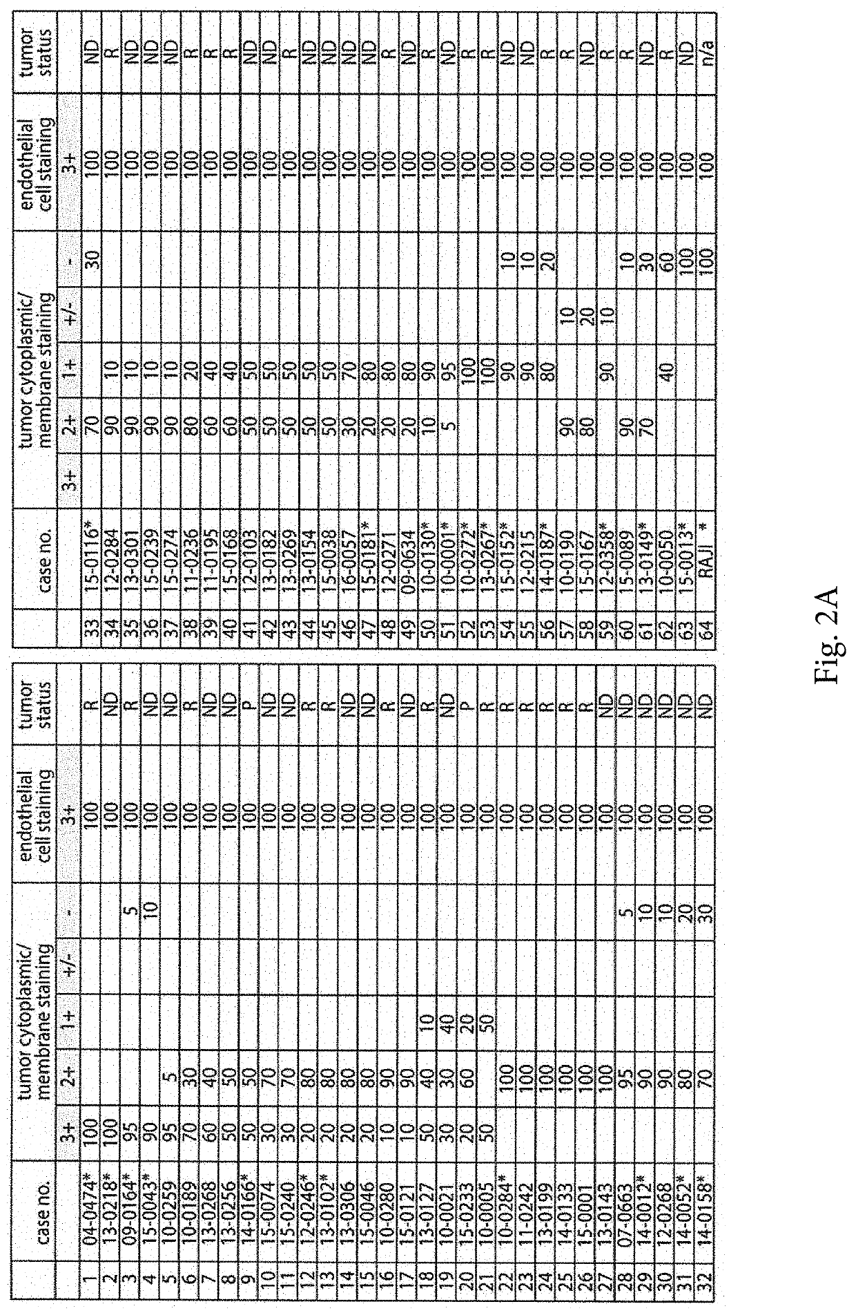 Detection of CD-155, the poliovirus receptor