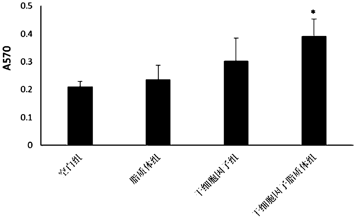 Stem cell factor liposome for repairing damaged tissues and preparation method thereof