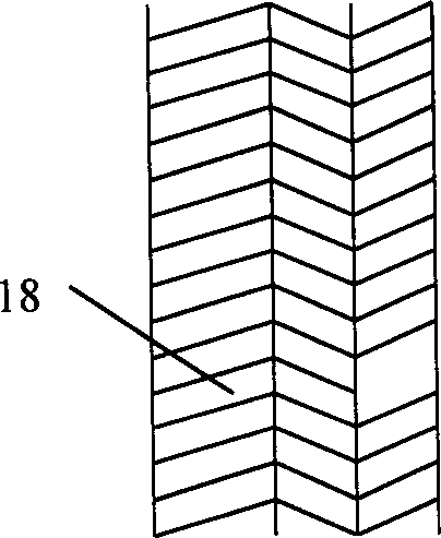 Method and device for burning petroleum coke by use of circulating fluid bed