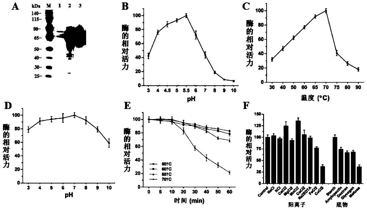 Glucoamylase MhglaA from myceliophthora heterothallica, gene for coding glucoamylase MhglaA, and application of glucoamylase MhglaA to glucose production