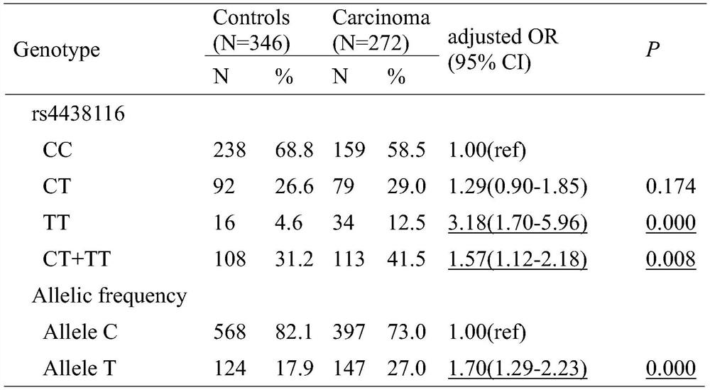 A kit for detecting genetic molecular markers associated with susceptibility to endometrial cancer