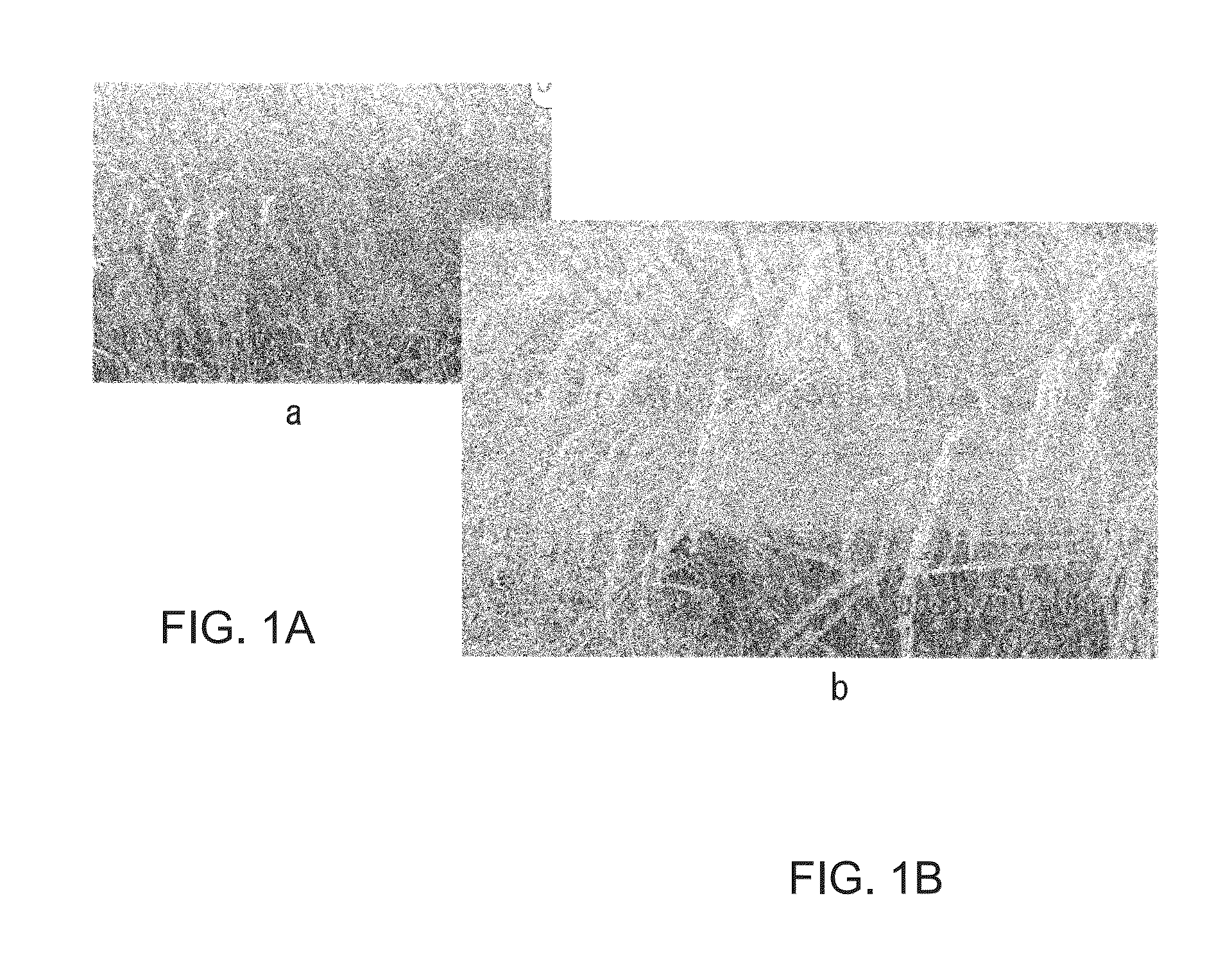 Method for raising plants and composition used therefor