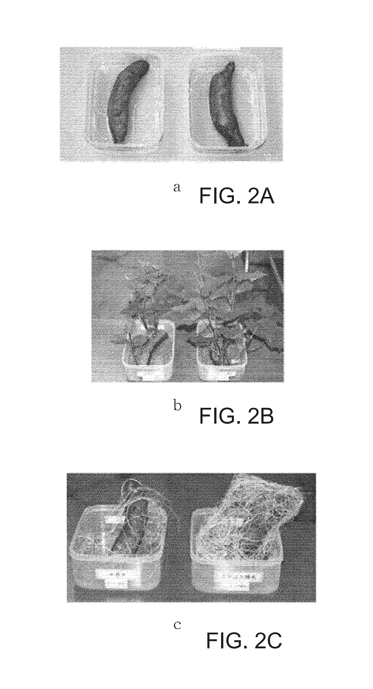 Method for raising plants and composition used therefor