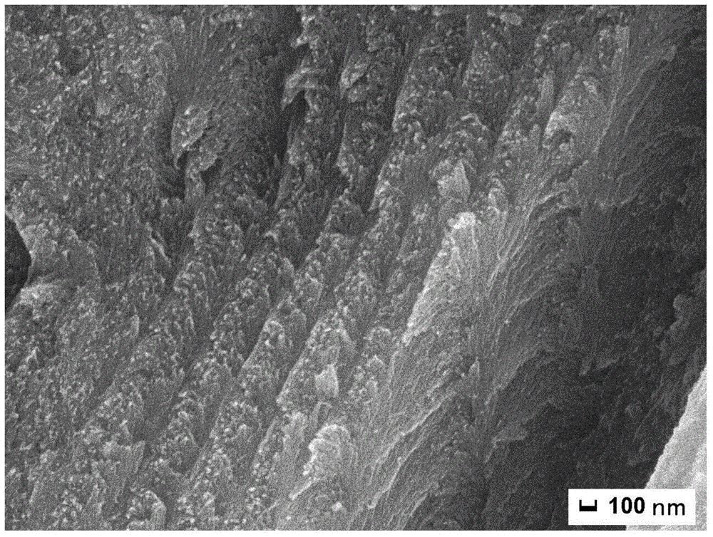 Preparation and application of nano-structure composite adsorption material