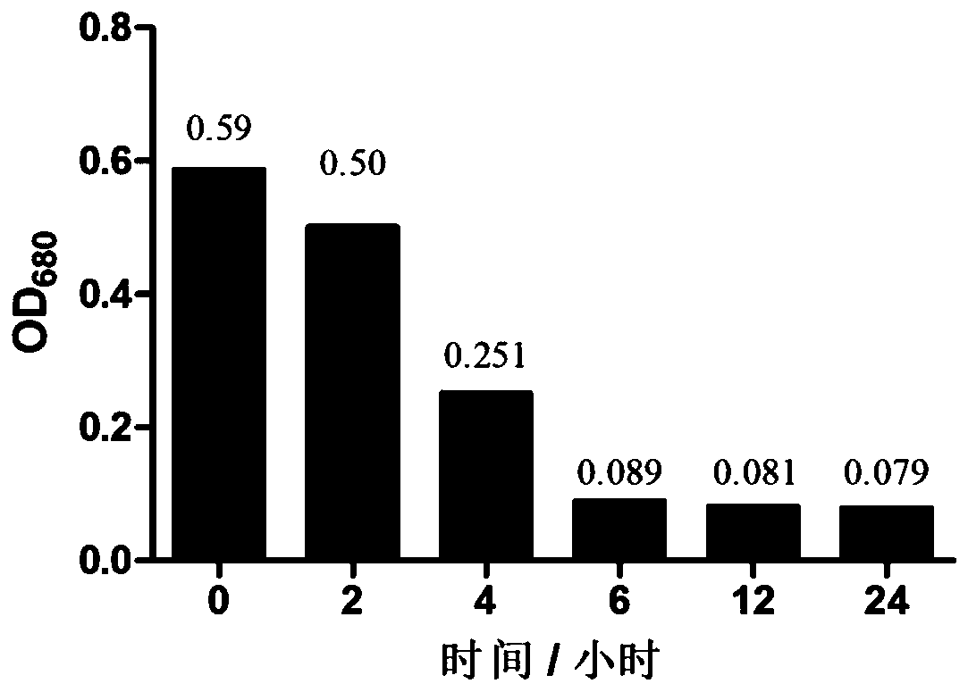 Method for removing heavy metals and blue-green algae in water