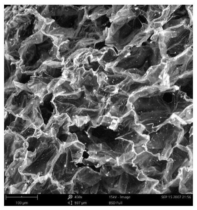 A kind of non-polar polymer negative Poisson's ratio foam material and preparation method thereof