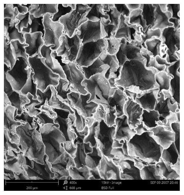 A kind of non-polar polymer negative Poisson's ratio foam material and preparation method thereof