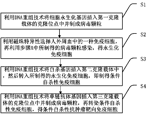 Conditional suicide anti-tumor targeted immune cell and preparation method thereof