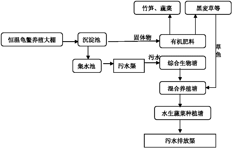 Method for resource utilizing isothermal industrial chelonian culture waste water