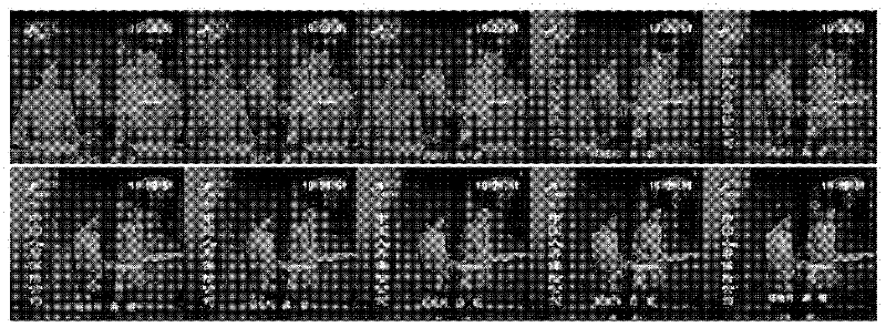 Construction method of full-automatic video cataloging system