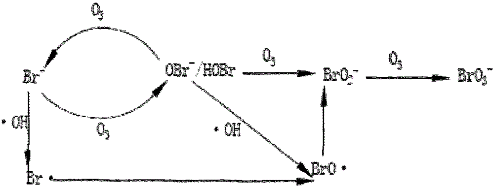 Production process for controlling generation of ozonized bromate