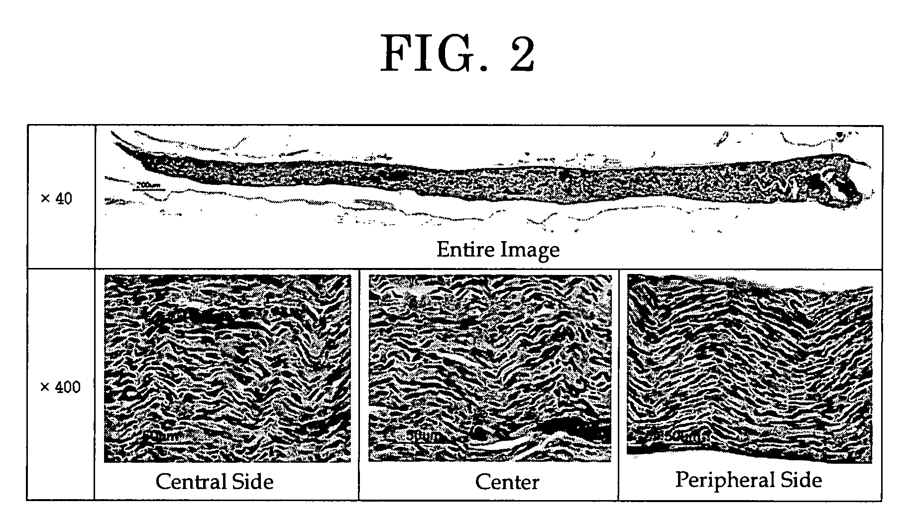 Tissue preservation solution