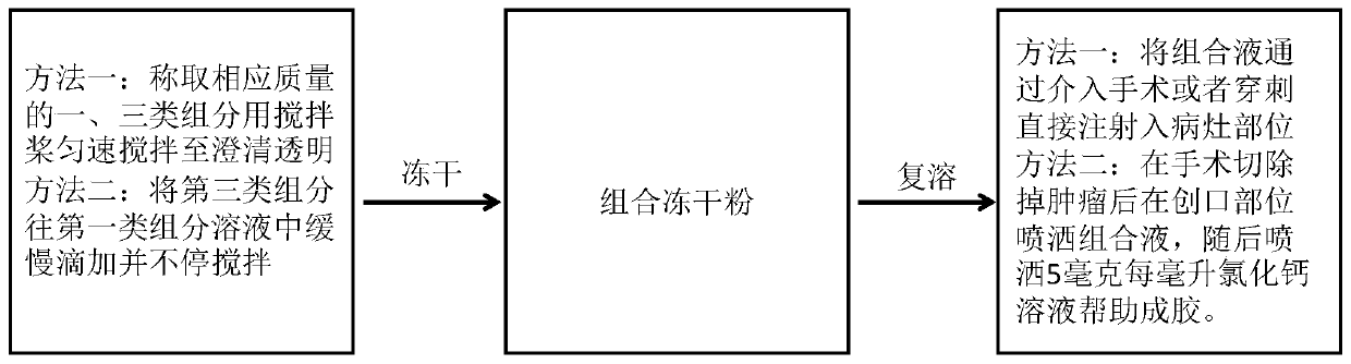 Immunochemotherapy pharmaceutical composition and preparation method therefor