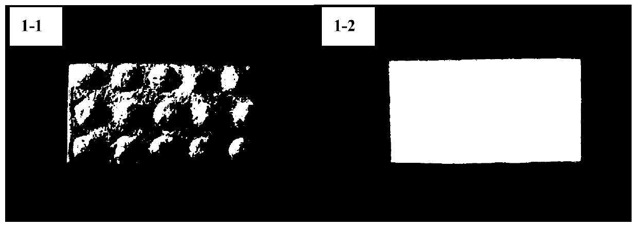 Guided tissue regeneration membrane and preparation method thereof