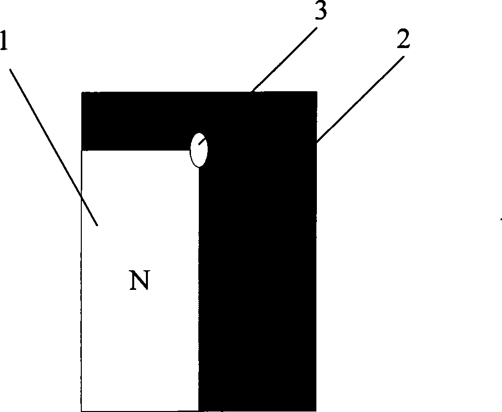 Shield excitation quantitative determination probe and method thereof