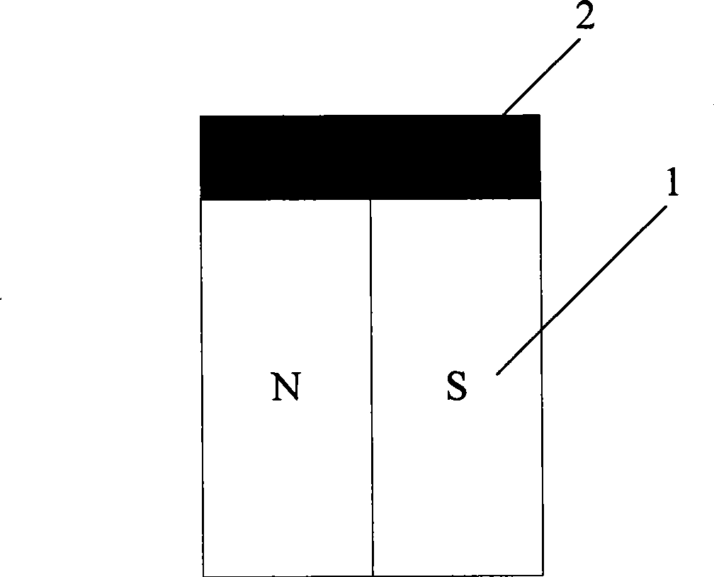 Shield excitation quantitative determination probe and method thereof