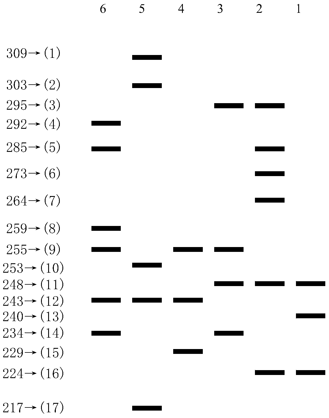 A kind of primer for identifying Zoysia species and the identification method of Zoysia species