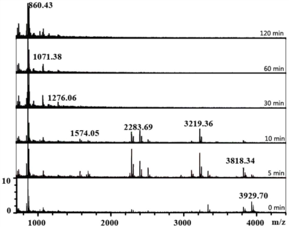 Multi-enzyme complex capable of efficiently degrading gluten protein and application of multi-enzyme complex